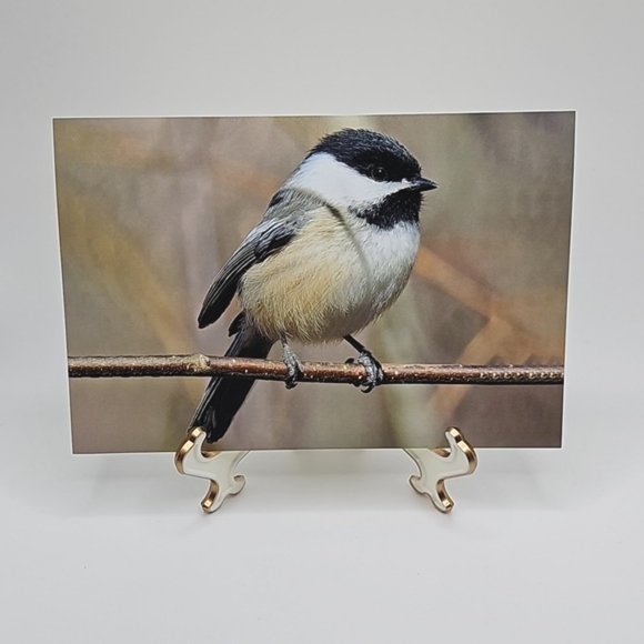 4x6 Chickadee Bird Oil Painting Photography Print‎ - Picture 1 of 7
